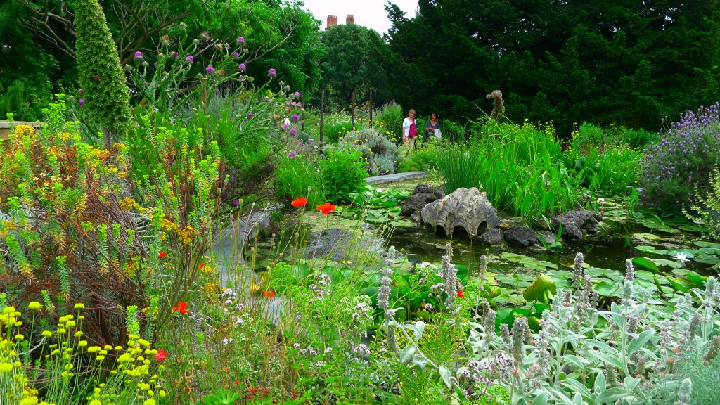 Rockery - flowery